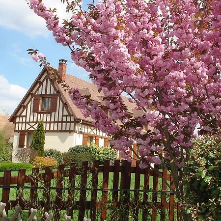Chambres D'Hotes Au Temps Des Cerises Jumièges Exteriér fotografie