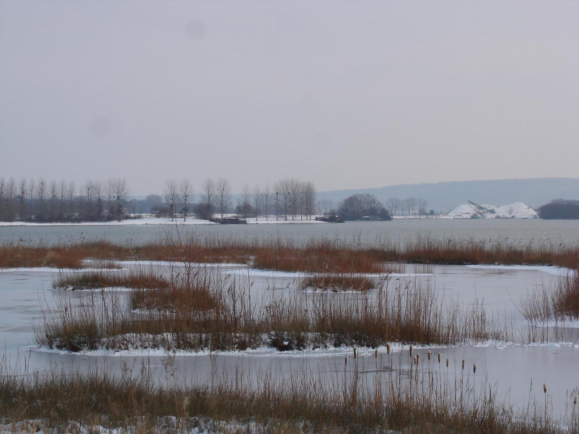 Chambres D'Hotes Au Temps Des Cerises Jumièges Exteriér fotografie